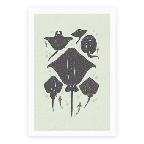 Family Of Stingrays Poster