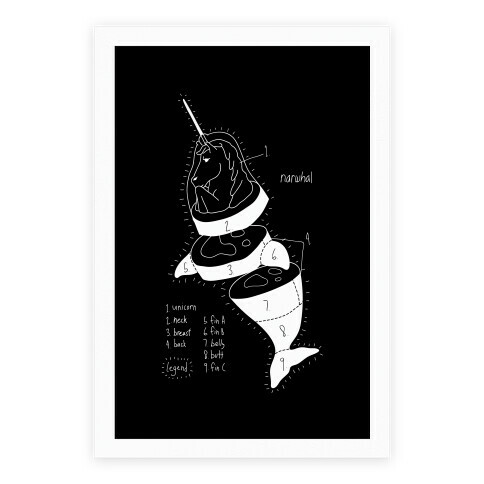 Narwhal Diagram Poster