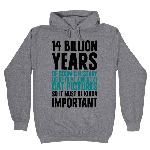 14 Billion Years of Cosmic History Hooded Sweatshirt