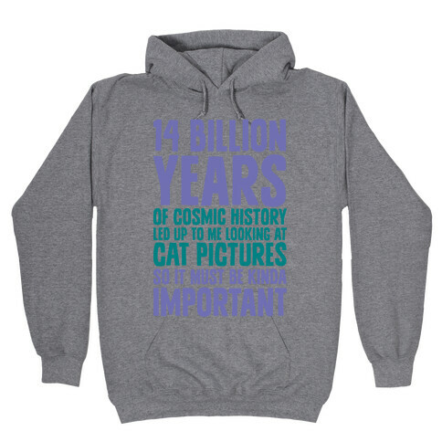 14 Billion Years of Cosmic History Hooded Sweatshirt