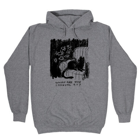 What Are You Looking At? Hooded Sweatshirt