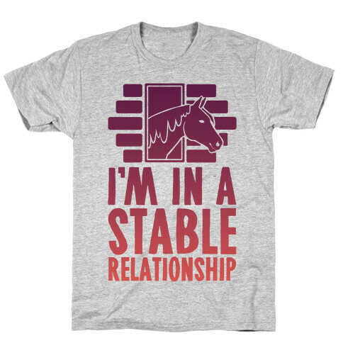 I'm In A Stable Relationship T-Shirt