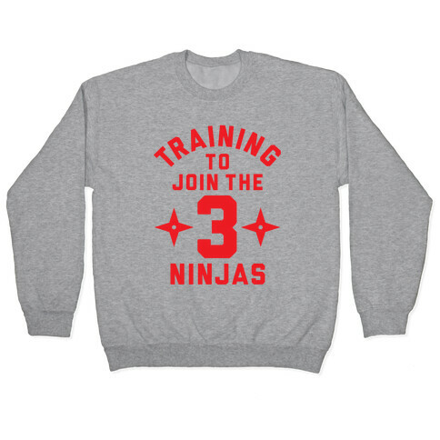 Training To Join The 3 Ninjas Pullover