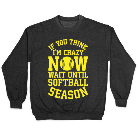 If You Think I'm Crazy Now Wait Until Softball Season Pullover