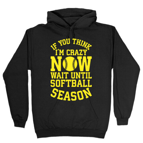 If You Think I'm Crazy Now Wait Until Softball Season Hooded Sweatshirt