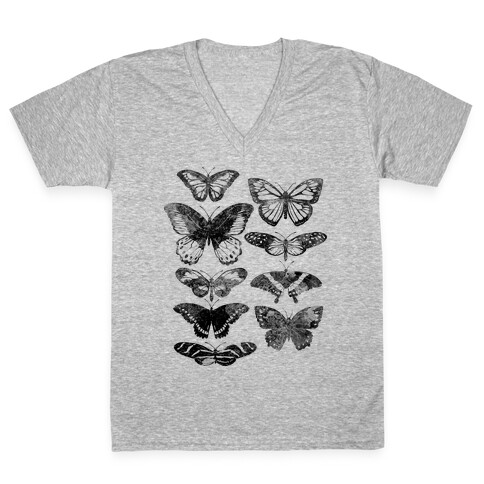 Butterfly Species V-Neck Tee Shirt