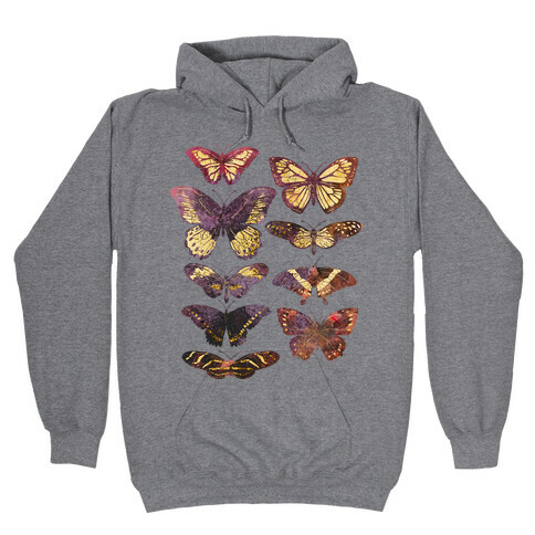 Butterfly Species Hooded Sweatshirt