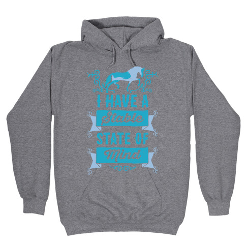 I Have A Stable State Of Mind Hooded Sweatshirt
