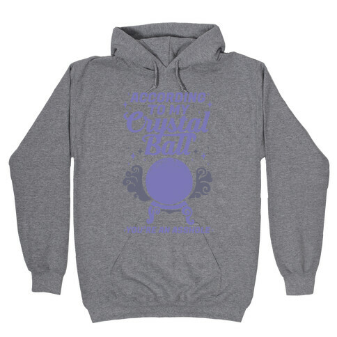 According To My Crystal Ball You're An Asshole Hooded Sweatshirt