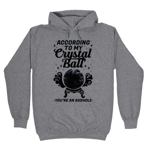 According To My Crystal Ball You're An Asshole Hooded Sweatshirt