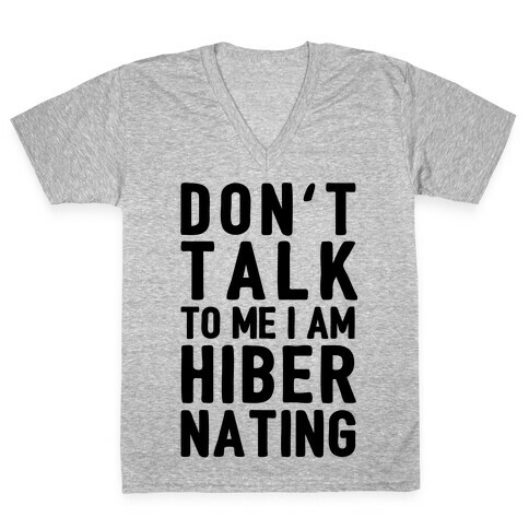 Don't Take To Me I Am Hibernating V-Neck Tee Shirt