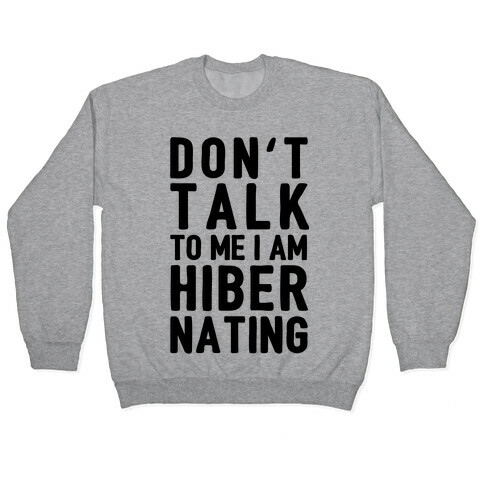 Don't Take To Me I Am Hibernating Pullover