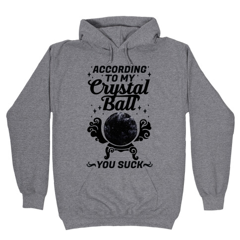 According To My Crystal Ball You Suck Hooded Sweatshirt