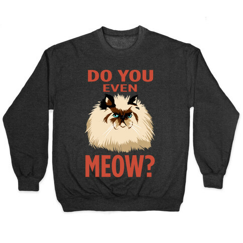 Do You Even Meow? Bro? (dark) Pullover