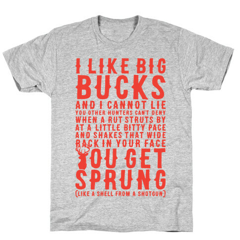 I Like Big Bucks And I Cannot Lie T-Shirt