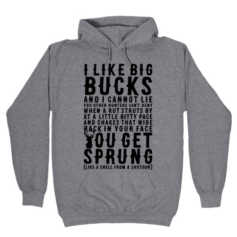I Like Big Bucks And I Cannot Lie Hooded Sweatshirt