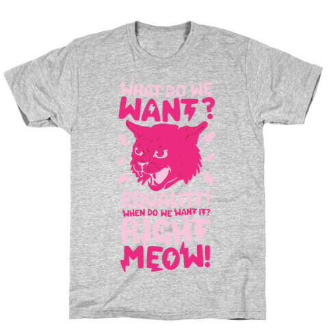 What Do We Want? Equality! When Do We Want it? Right Meow! T-Shirt