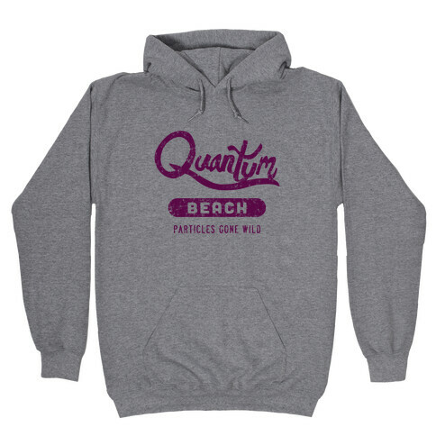 Quantum Beach - Particles Gone Wild Hooded Sweatshirt