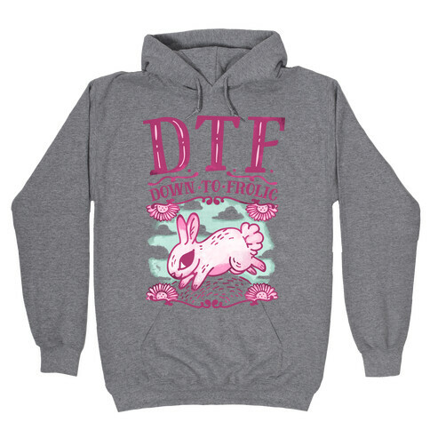 DTF Down to Frolic Hooded Sweatshirt