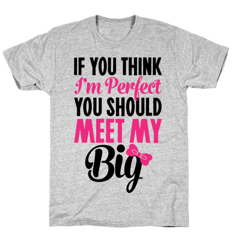 If You Think I'm Perfect You Should Meet My Big T-Shirt