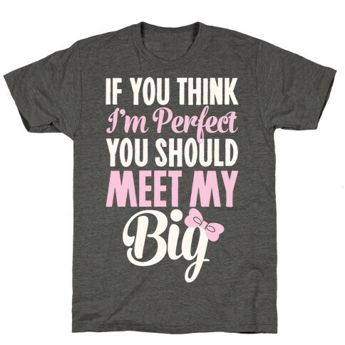 If You Think I'm Perfect You Should Meet My Big T-Shirt