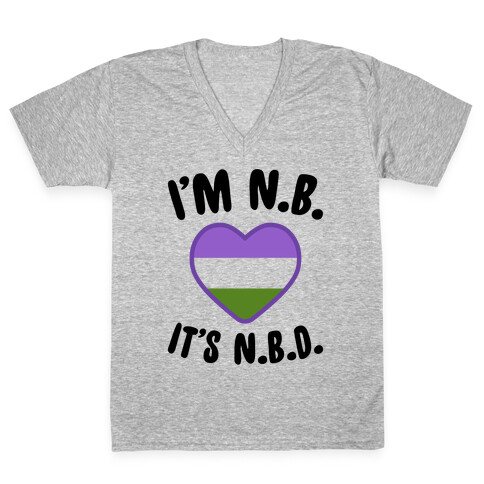 I'm N.B., It's N.B.D. (Genderqueer Flag) V-Neck Tee Shirt