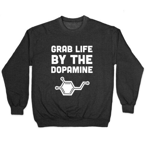 Grab Life By The Dopamine Pullover