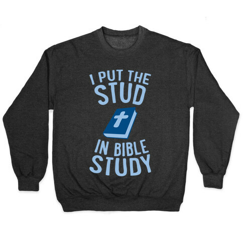 I Put The Stud In Bible Study Pullover