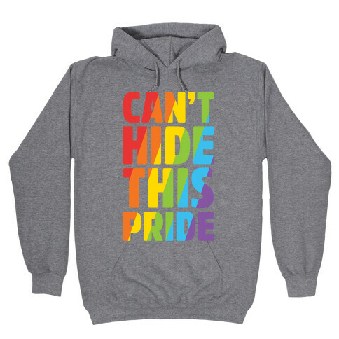 Can't Hide This Pride Hooded Sweatshirt