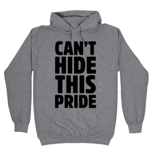 Can't Hide This Pride Hooded Sweatshirt