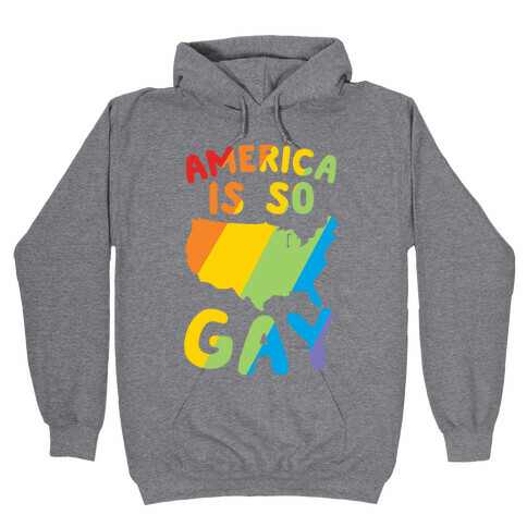 America Is So Gay Hooded Sweatshirt