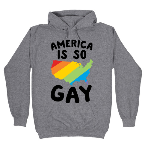 America Is So Gay Hooded Sweatshirt