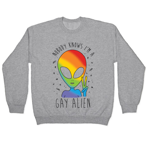 Nobody Knows I'm A Gay Alien Pullover