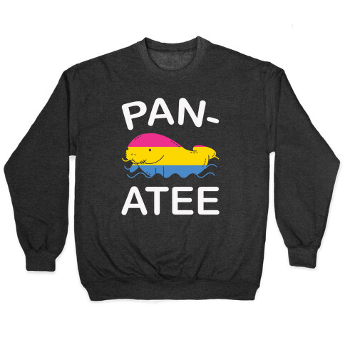 Panatee Pullover