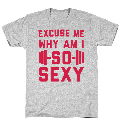 Excuse Me Why Am I So Sexy T-Shirt