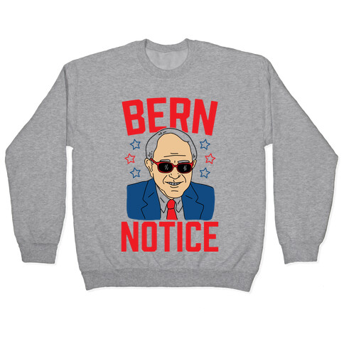 Bern Notice Pullover