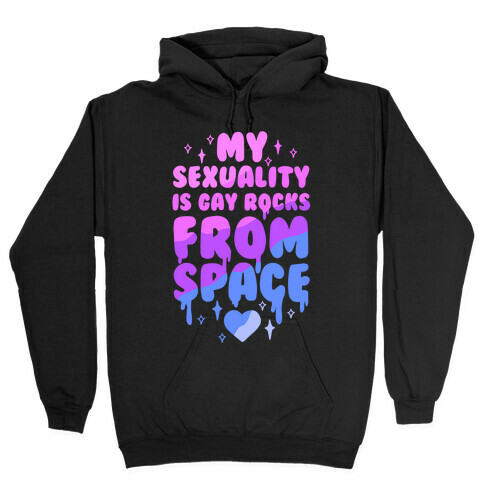 My Sexuality Is Gay Rocks From Space Hooded Sweatshirt