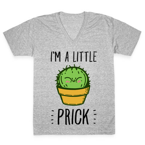 I'm a Little Prick V-Neck Tee Shirt