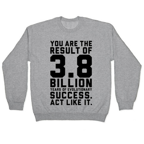 Evolutionary Success Pullover