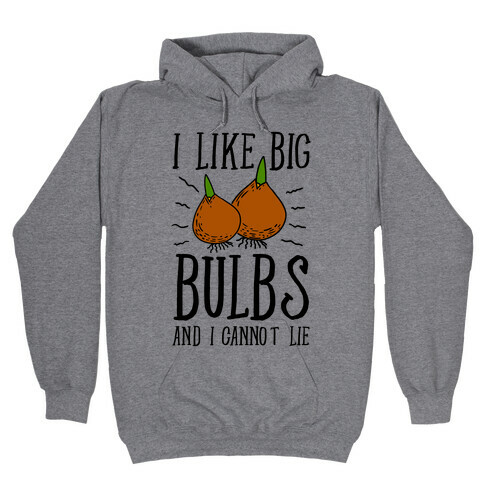 I Like Big Bulbs and I Cannot Lie Hooded Sweatshirt