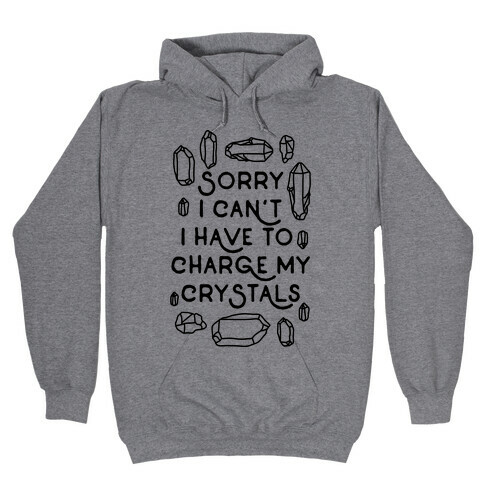 Sorry I Can't I Have To Charge My Crystals Hooded Sweatshirt