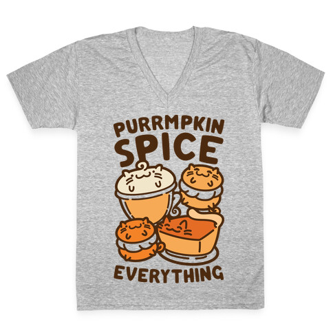 Purrmpkin Spice Everything V-Neck Tee Shirt