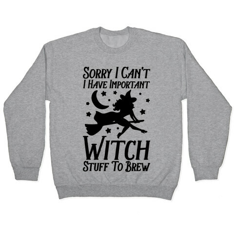 Sorry I Can't I Have Important Witch Stuff To Brew Pullover