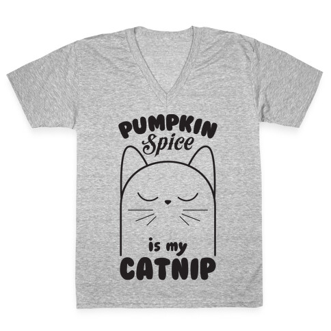 Pumpkin Spice Catnip V-Neck Tee Shirt