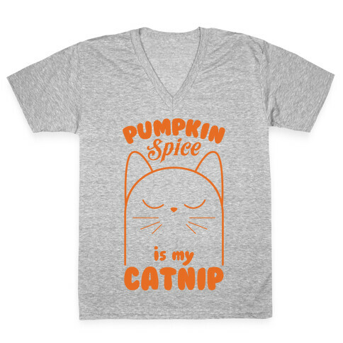 Pumpkin Spice Catnip V-Neck Tee Shirt