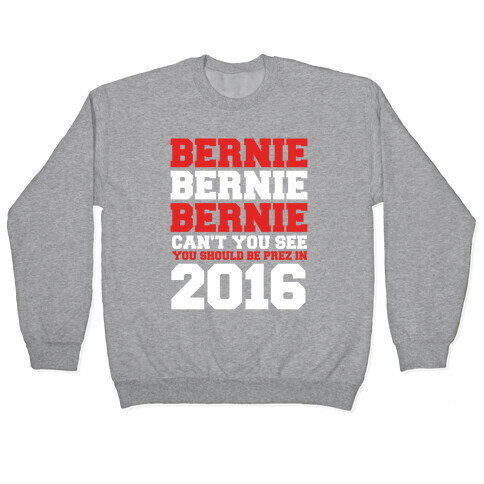 Bernie Should Be Pres in 2016 Pullover