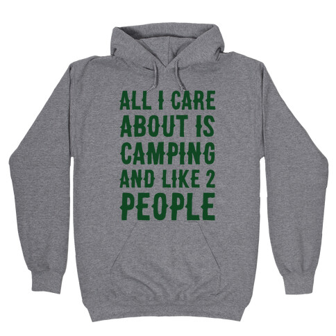 All I Care About Is Camping And Like 2 People Hooded Sweatshirt