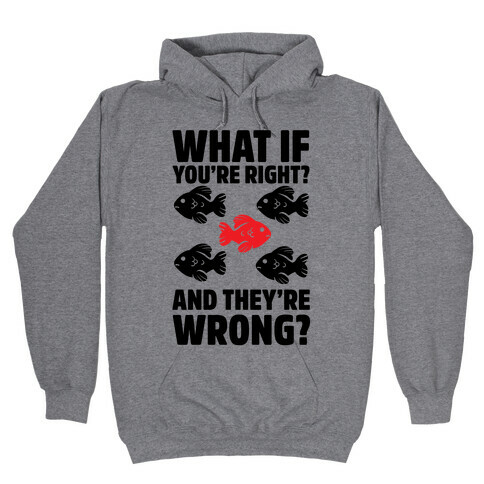 What If You're Right? And They're Wrong? Hooded Sweatshirt