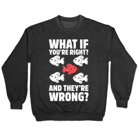 What If You're Right? And They're Wrong? Pullover
