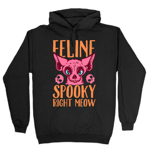 Feline Spooky Right Meow Hooded Sweatshirt